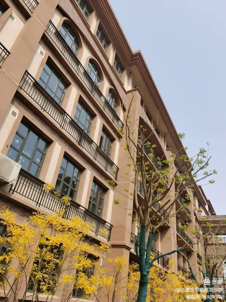 南高营小学2020年新生入学指南